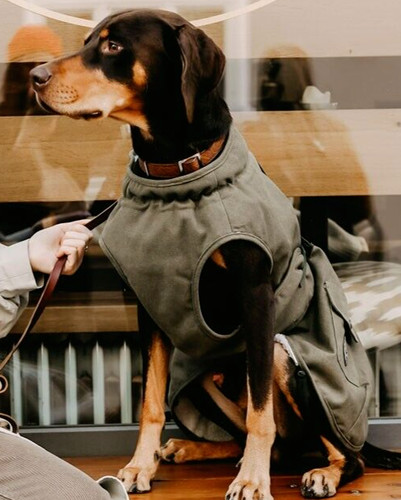 Hunter hundemantel uppsala - hunter,