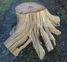 Wurzelholz Couchtisch aus