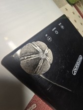  Seeigel Galerites Steinkern Ostsee Versteinerung 