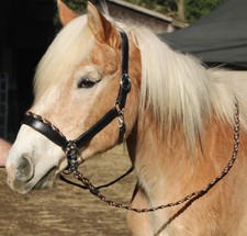 Leder Trense GEBISSLOS +