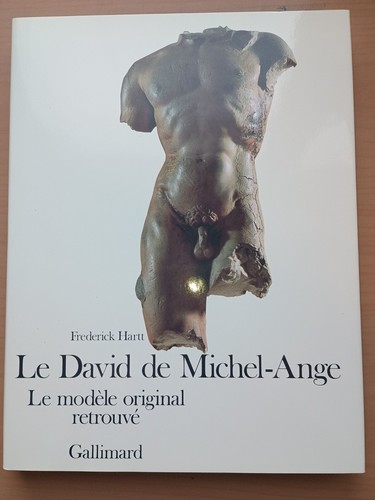 Michelangelos david das - david:,