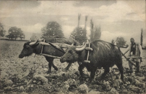 Foto landwirtschaft pflug - foto, ak