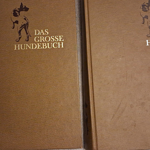 Das große hundebuch - große,
