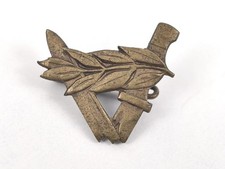 Unbekanntes Kleinabzeichen