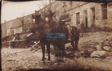 Foto-AK Soldat mit Pferd Hans