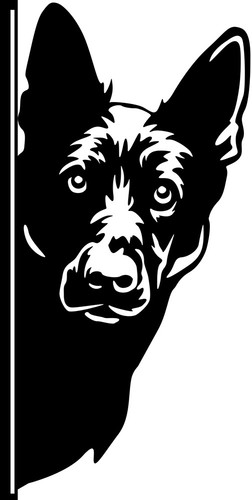 Deutscher schäferhund - deutscher,
