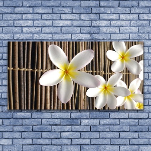 Acrylglasbilder wandbilder - acrylglasbilder,
