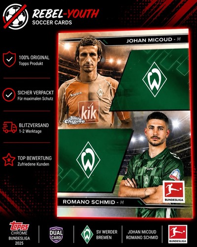 Johan micoud romano - johan, schmid