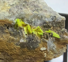 U - Circit xx Typlokalität von Bergen im Vogtland von  Sachsen