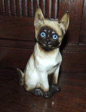 Rauchverzehrer-Katze aus