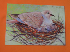 1x Postkarten Tauben Loes