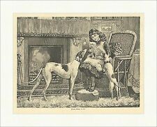 Der neue Liebling Hunde Kamin Korbsessel Kinder Mädchen Tiere Holzstich E 7040
