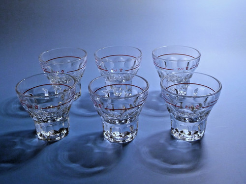 Gastro schnapsgläser 6er set - gastro,