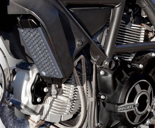 Dbk ducabike ölkühlerschutz - dbk/ducabike,