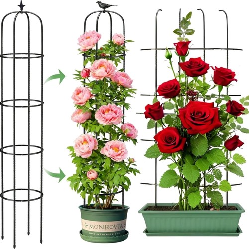 Garten obelisk trellis - obelisk,