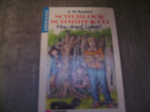Buch scherlock schmdt co - buch,