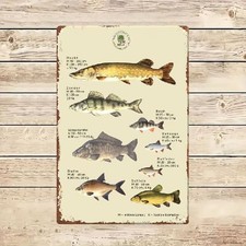 Blechschild Süßwasserfische