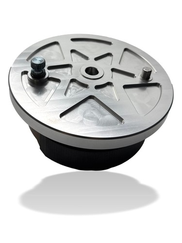 Bremsschild hinten