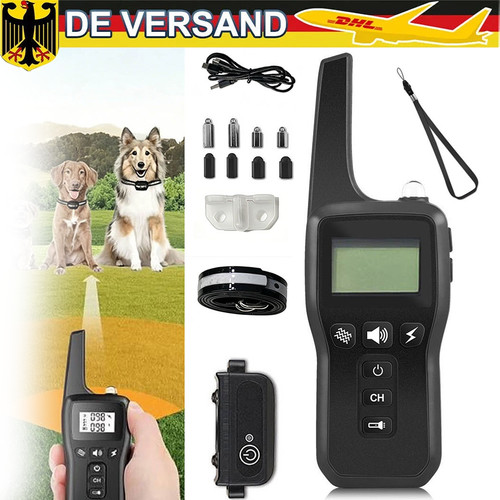 1000m hund ausbildung - 1000m,