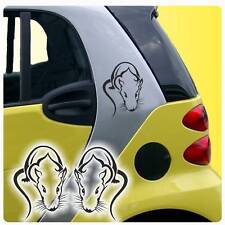 Autoaufkleber Ratte Ratten Maus Mäuse 2er SET Auto Aufkleber Sticker A852  
