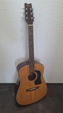 Washburn Westerngitarre D 12