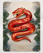 Jahr der Schlange 2025 Metall Poster Wandschild Männerhöhle Schuppen Bar Haus Plakette