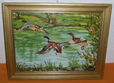 Enten im Flug über Teich