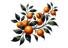 Orangenzweig