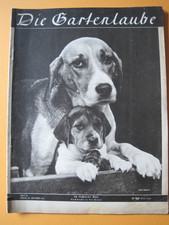 Die GARTENLAUBE Zeitschrift