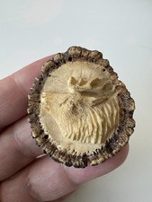 Hirschhornrose mit geschnitztem Hirschmotiv – um 1920 Horn Jagdschmuck Knopf