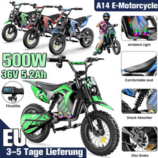 iScooter A14 Motorrad 500W