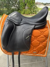 AMERIGO CERVIA SIENA Dressage