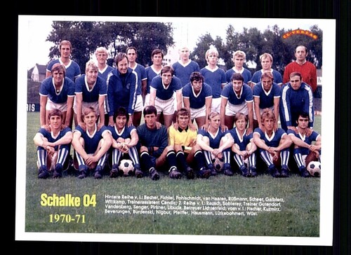Schalke mannschaftskarte - fc,
