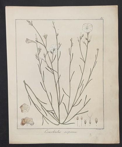 Kupferstich 1835 text - kupferstich, 1835+text