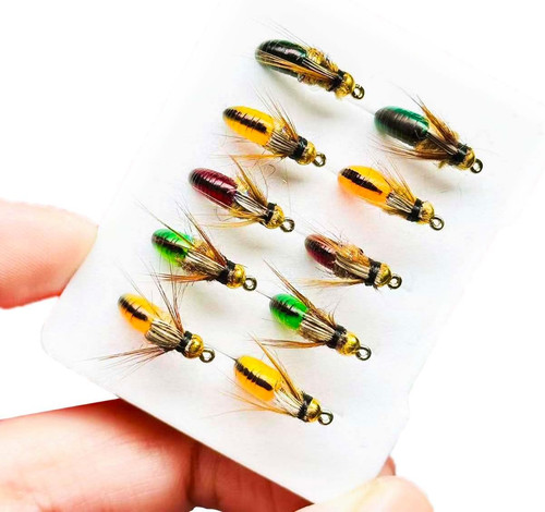 10pc nass fliegen - 10pc,