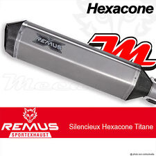 Komplette Linie Auspuff Remus Hexacone Titan BMW F 800 GS 08-