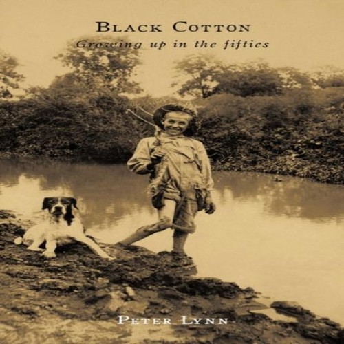 Black cotton growing the - cotton,