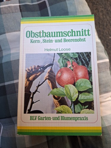 Obstbaumschnitt kern stein und - stein,