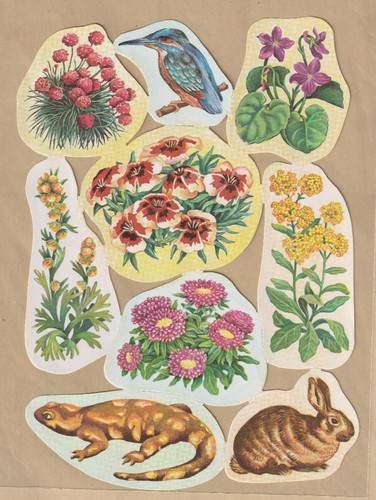 Ddr stammbuchbilder blumen - ddr,