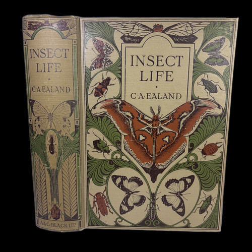 Insect life ealand - insect, c.