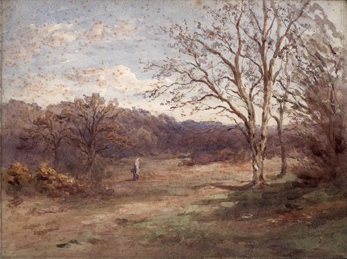Blakes wood danbury - danbury, essex