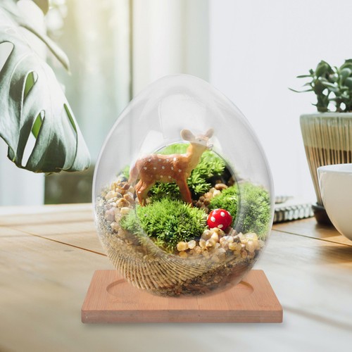 Hydroponische vase - ,