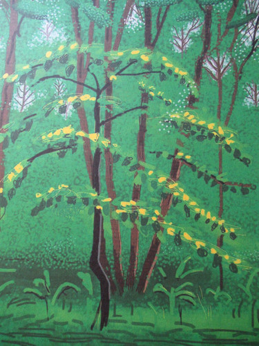 David hockney lithographie - david,