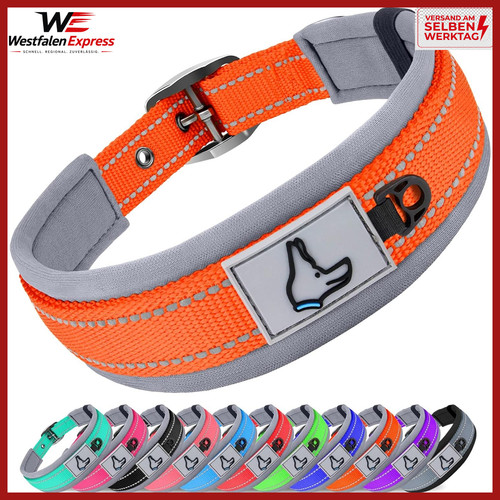 Halsband hund gepolstert - halsband,