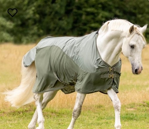 Busse paddock regen und - busse,
