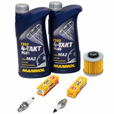 Inspektion für Yamaha XV 125