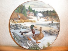 Sammelteller Porzellan Teller