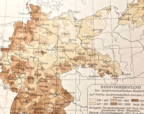 Alte lithographie viehzucht - alte,