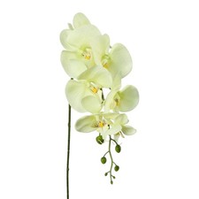 Kunstblume, PHALENOPSIS 86cm. Künstliche Orchidee, Orchideentrieb. GRÜN