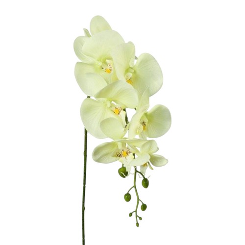 Kunstblume phalenopsis 86cm - kunstblume,,